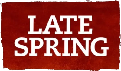 Tarda primavera streaming Tarda primavera