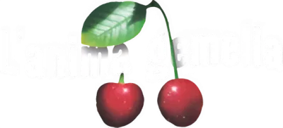 L'anima gemella streaming L'anima gemella