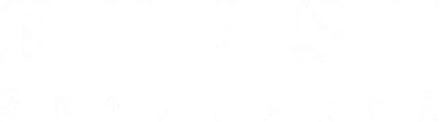 Chase - Scomparsa